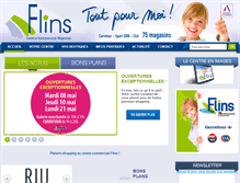Tablet Screenshot of ccflins.com